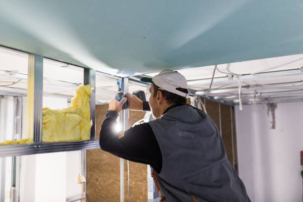 Best Local Insulation Services  in Marlborough, MO