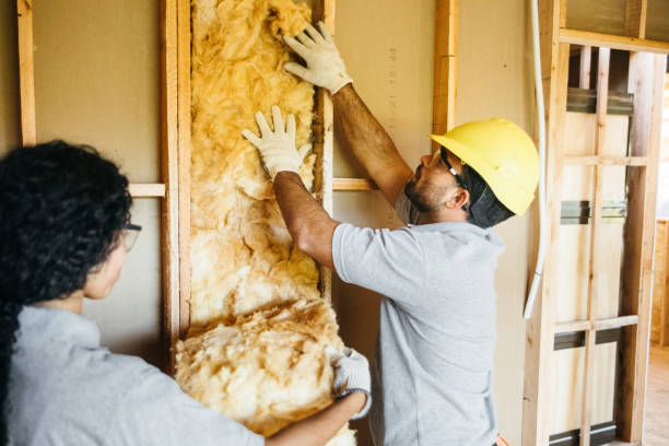 Best Insulation Removal  in Marlborough, MO