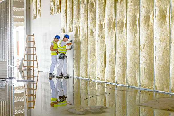 Insulation Replacement Services in Marlborough, MO